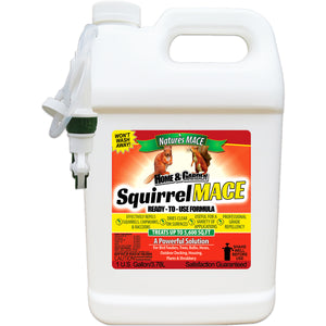 Squirrel MACE Squirrel Repellent 1 Gallon Spray squirrel repellent spray