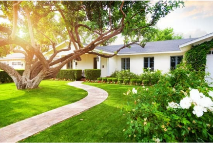 How to safely use an outdoor rodent repellent