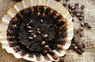 What you need to know about coffee grounds as squirrel repellent for your garden