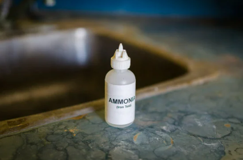Can ammonia keep mice out?