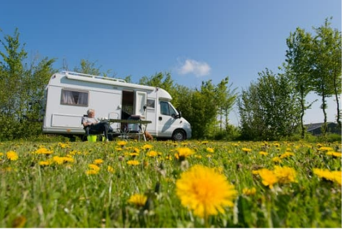 Ultimate guide to mice repellent for campers