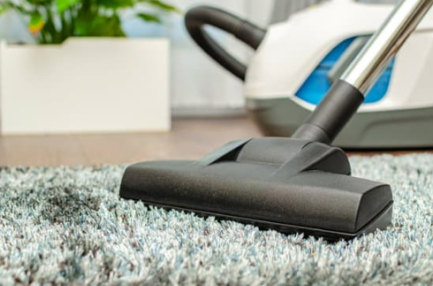 6 bed bug home remedies that actually work