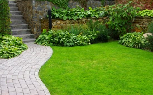 Guide to using bug repellent sprays for your garden