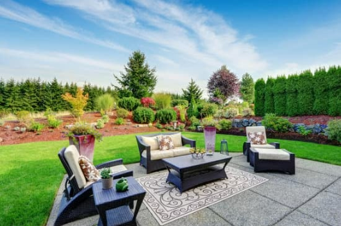 How do I get rid of mosquitoes in my backyard?