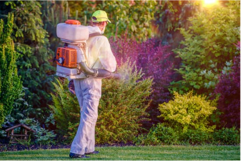 What you want to know about pest deterrents