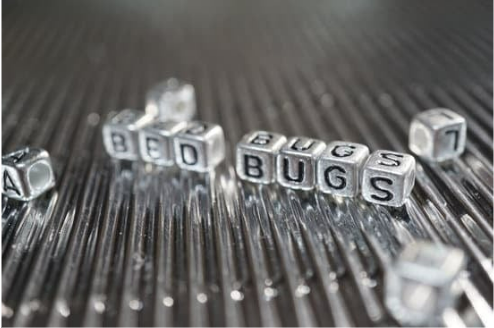 BED BUG RID