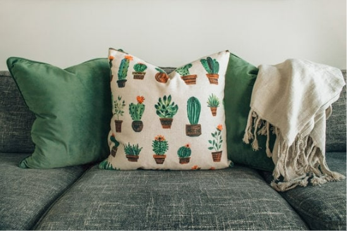 HOW TO CHECK FOR BED BUGS IN THE COUCH