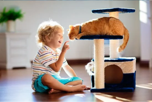DO MICE BITE CATS?