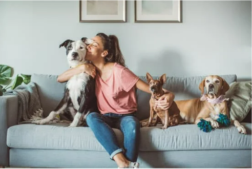 CHECK FOR BED BUGS ON PETS?