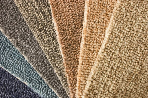 DO BED BUGS LIVE IN CARPET?