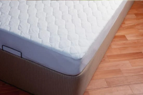 HOW DO YOU CHECK FOR BED BUGS?