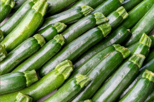DO DEER EAT ZUCCHINI?