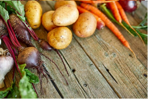 DO DEER EAT VEGETABLES