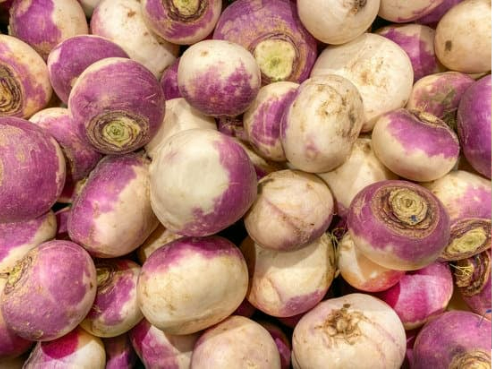 DO DEER EAT TURNIP