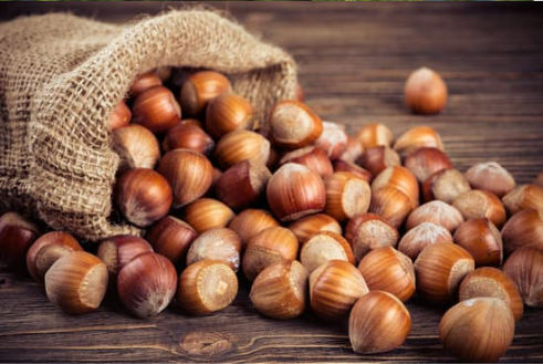 DO DEER EAT HAZELNUTS?