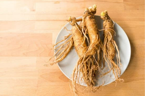 DO DEER EAT GINSENG