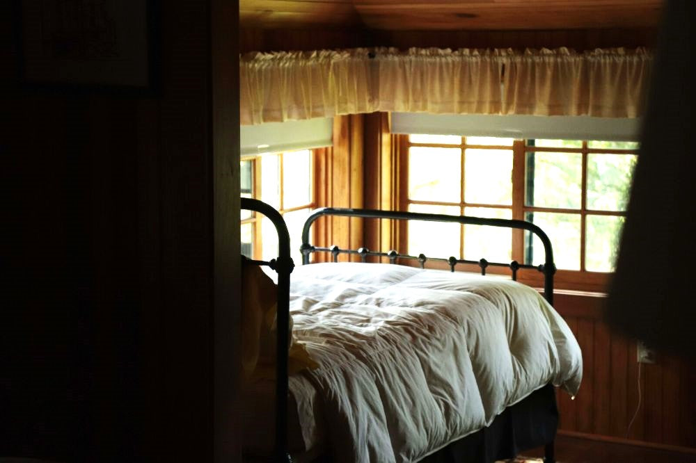 What to do if I found a bed bug?