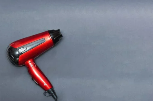 WILL A HAIR DRYER KILL BED BUGS?