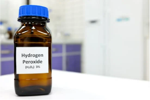 DOES HYDROGEN PEROXIDE KILL BED BUG EGGS?