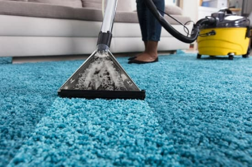 CAN I VACUUM AFTER BED BUG TREATMENT?