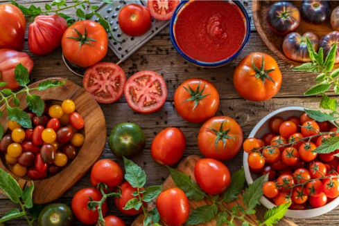  DEER EAT TOMATOES?