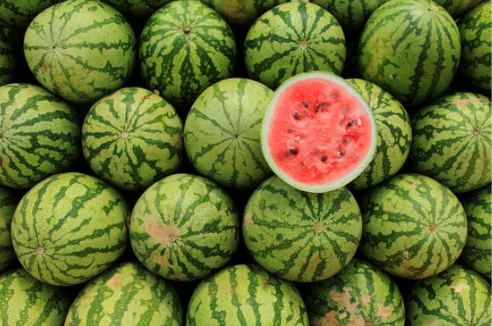DO DEER EAT WATERMELON?