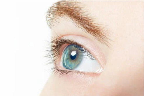 CAN YOU SEE BED BUG EGGS WITH THE HUMAN EYE?