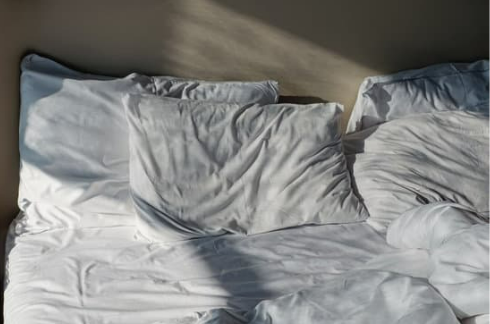 WHERE DO FLEAS HIDE IN BED?