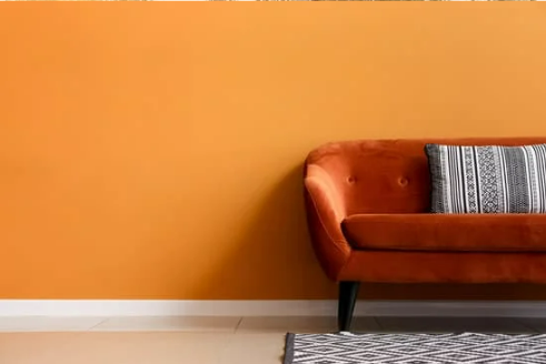 HOW TO CHECK FOR BEDBUGS?