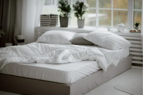 WHERE DO BED BUGS COME FROM?