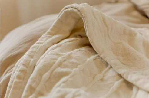 CAN YOU SEE BED BUGS?