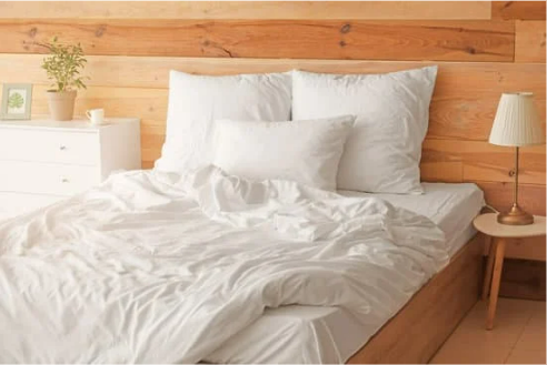 HOW DO I KNOW BED BUGS ARE GONE?