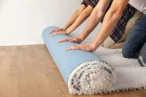 CAN BED BUGS LIVE IN CARPET?