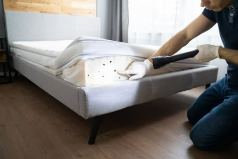 WILL BED BUGS GO AWAY ON THEIR OWN?