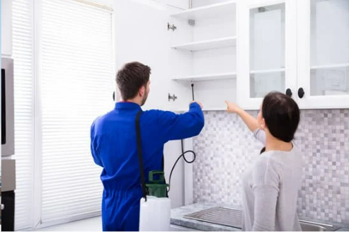 INSECTICIDES FOR BEDBUGS
