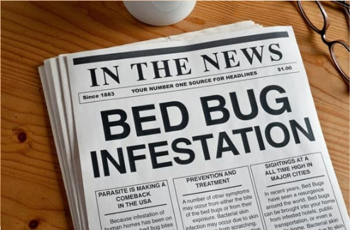 LEARNING ABOUT BED BUGS