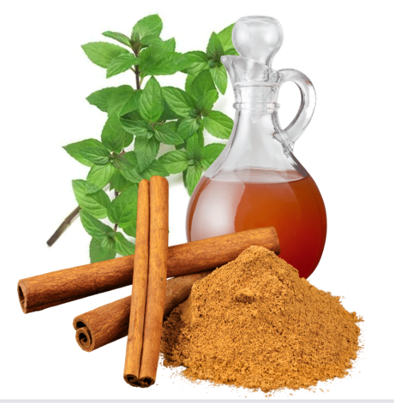 MAKING A HOMEMADE CAT REPELLENT