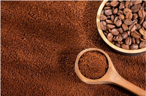 HUMANE CAT DETERRENTS