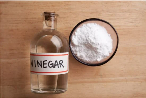 Vinegar for cat repellent