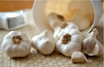 Is garlic good for repelling deer?
