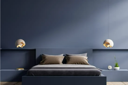 UNDERSTANDING BED BUG BEHAVIOR