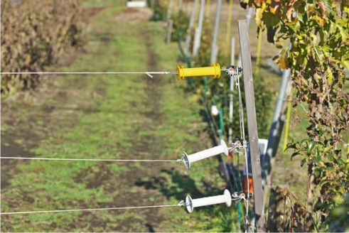 ELECTRONIC DEER REPELLENT