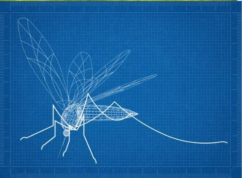 HIDDEN FACTS ABOUT MOSQUITOES