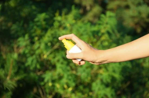 AVOID THAT HOME INVASION WITH NATURAL BUG REPELLENTS