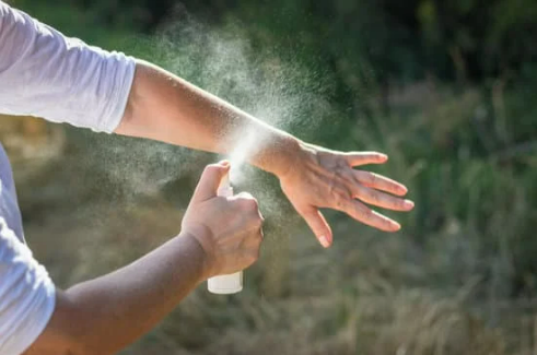 NATURAL INSECT REPELLENTS