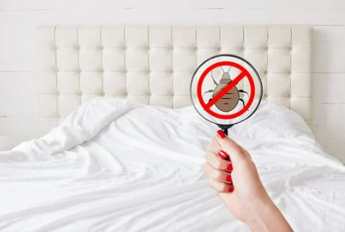 CAN YOU FEEL BEDBUGS