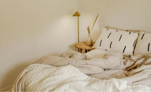 DO BED BUGS COME OUT IN THE DAYTIME