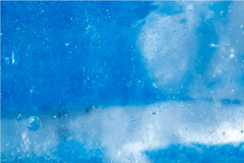 CAN YOU KILL BEDBUGS WITH COLD WATER