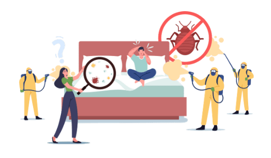CAN BEDBUGS SPREAD FROM ONE PERSON TO ANOTHER