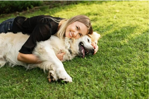 KEEPING YOUR DOG SAFE FROM BED BUGS